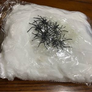 Halloween decor - Spiders & Web